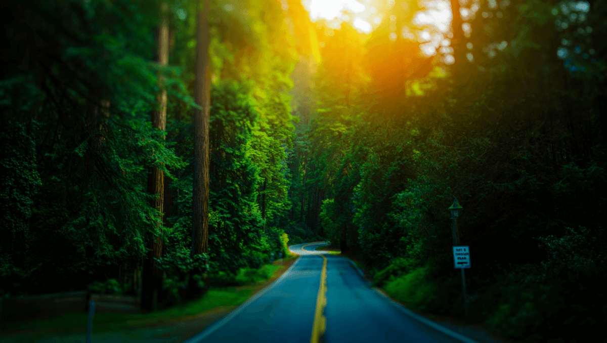 Bohemian Grove membership leak exposes 2,000 members' names, celeb list shocks elite club