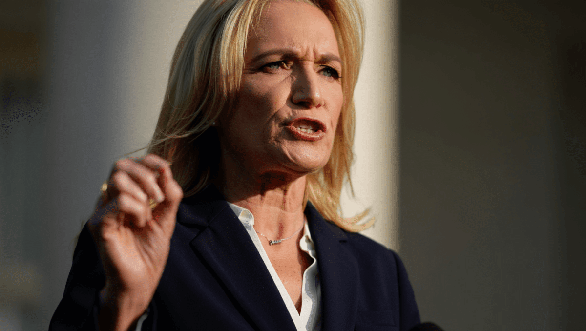 Cheryl Hines fires back at Chelsea Handler over 'toxic' home claim