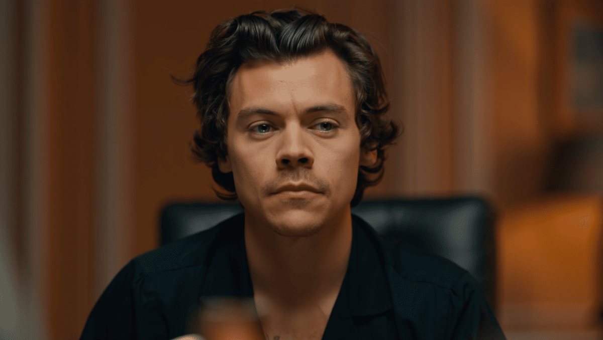 Paint by Numbers reveals Harry's raw thoughts on fame and public image