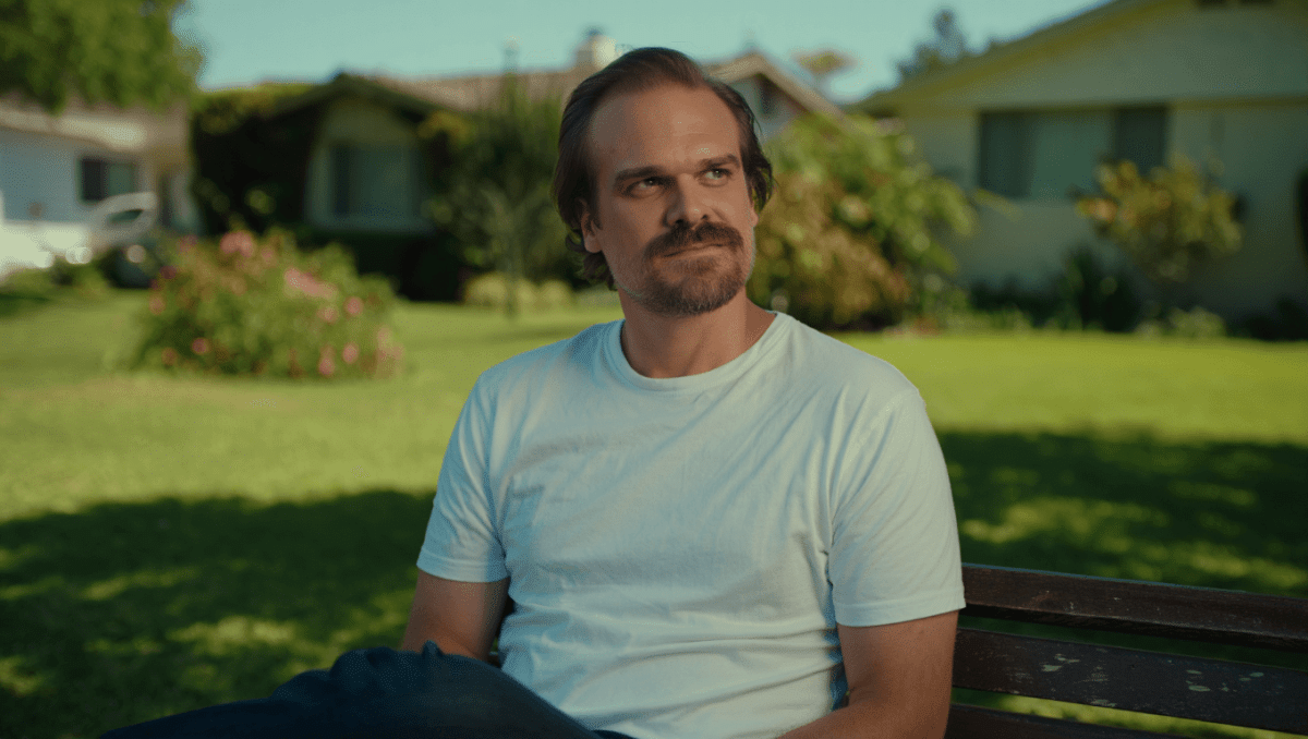 David Harbour stars in DTF St Louis now on HBO Max, darkly funny murder mystery show