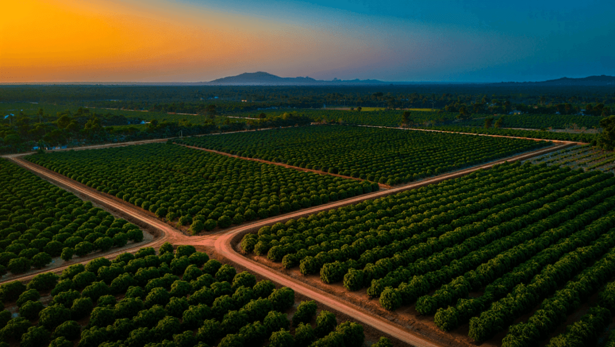 Dawood Ibrahim's ancestral plots find buyer after 4 failed attempts