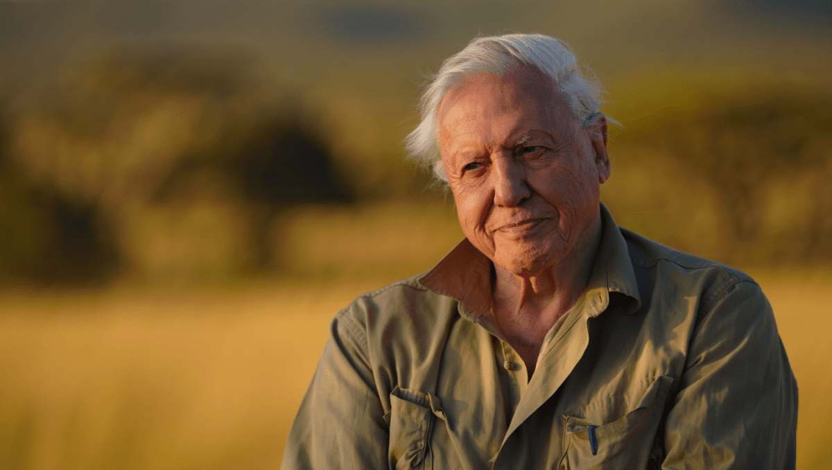 David Attenborough's greatest adventure premieres May 6, 50 years later