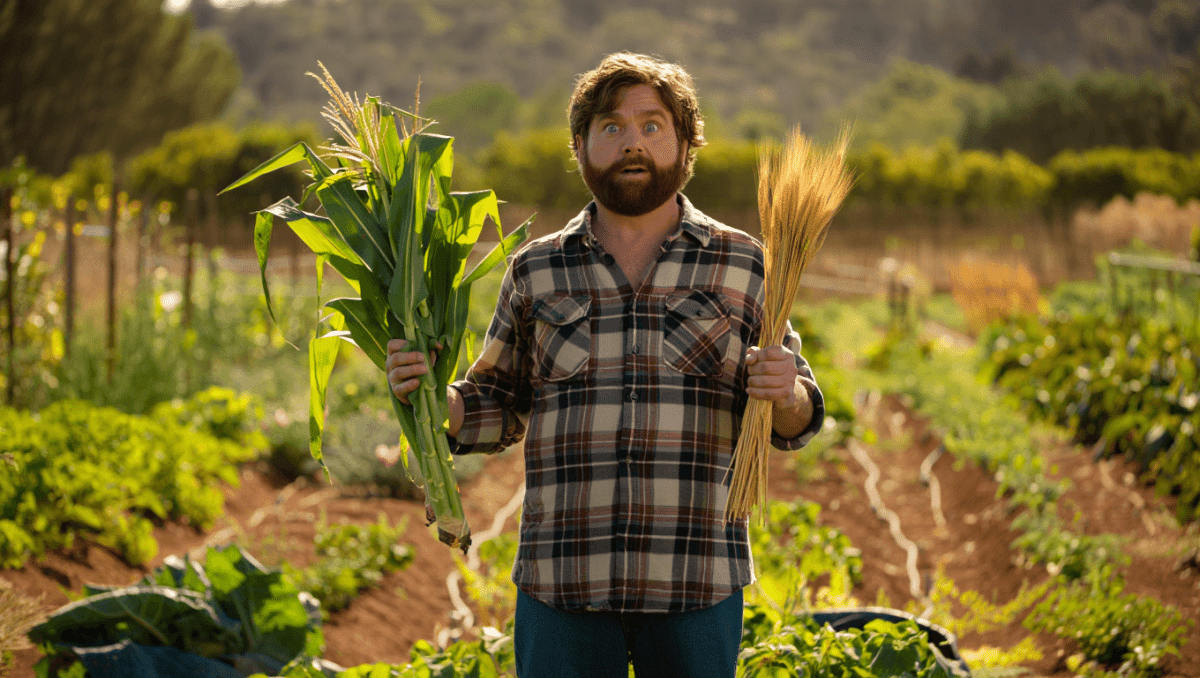 Zach Galifianakis grows beyond comedy with whimsical Netflix gardening show