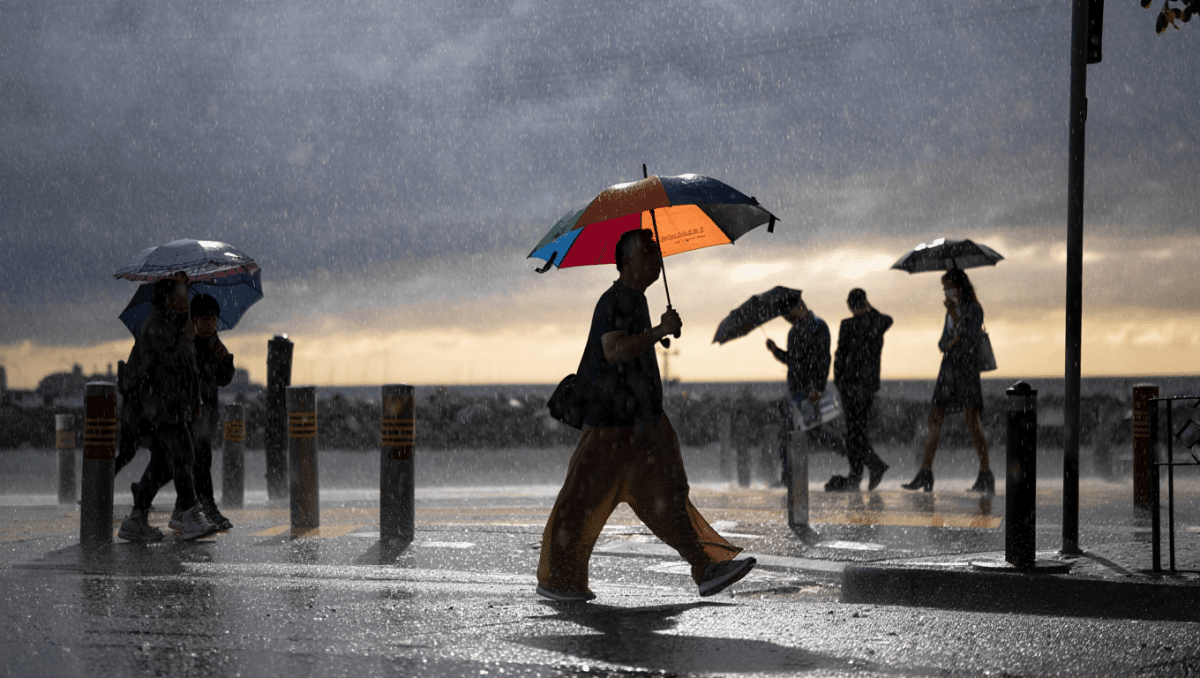 Weather forecast: San Francisco sees light rain today, warming through weekend