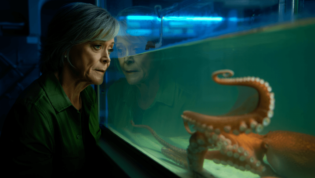 Sally Field stars in newly released Netflix drama Remarkably Bright Creatures