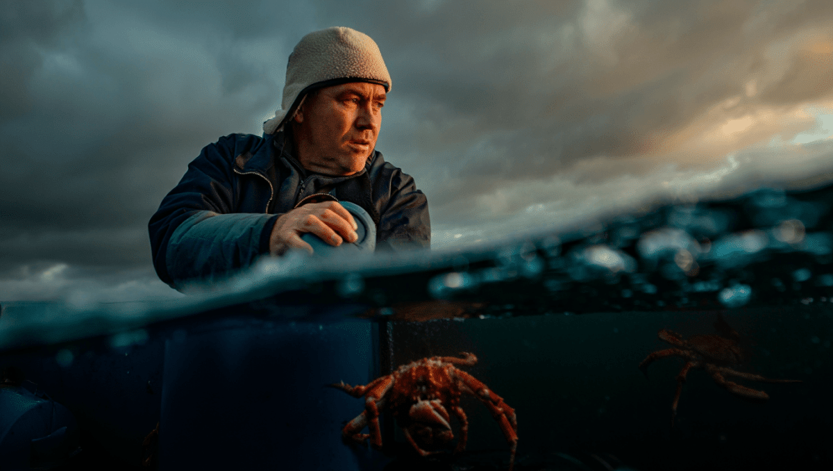 Deadliest Catch hunts rare red king crab in Bering Sea for first time in 27 years
