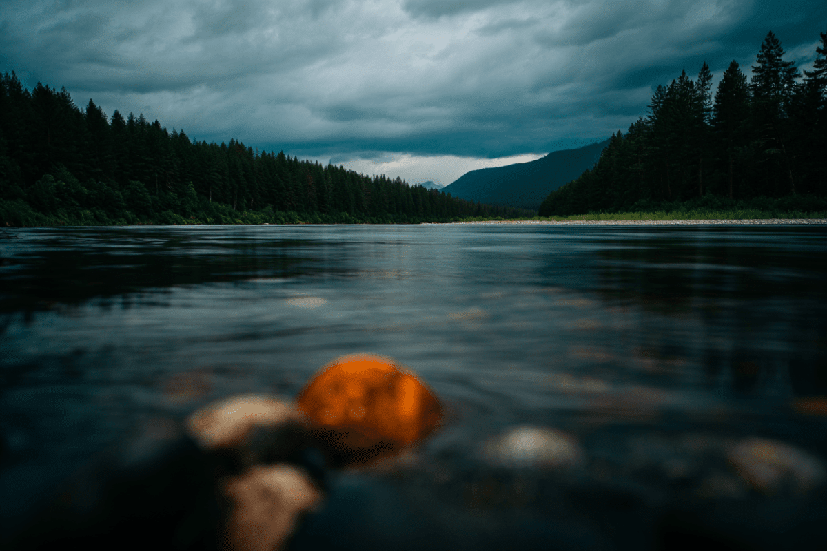 Alaskan Bush People Matt Brown found dead in Okanogan River in Washington