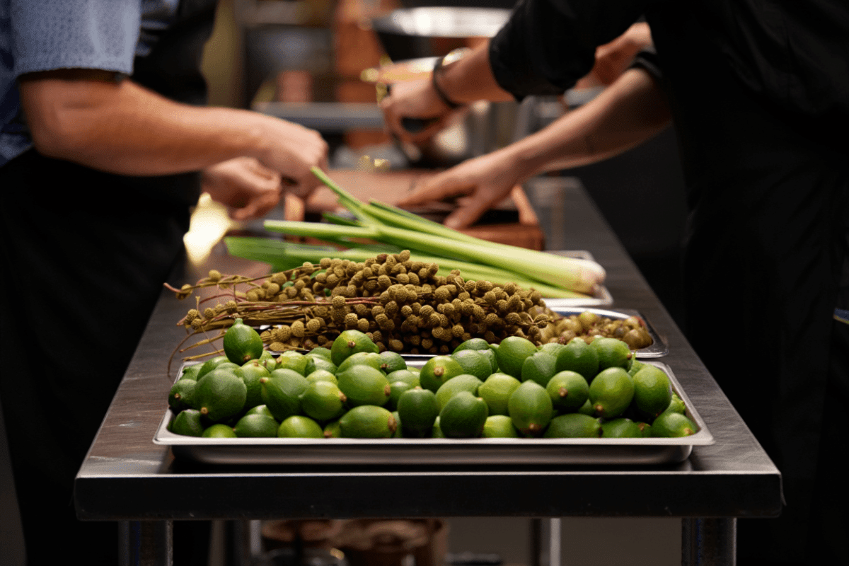Robert Irwin guest judges MasterChef native ingredients challenge