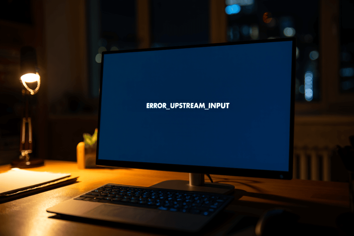 ERROR_MISSING_INPUT