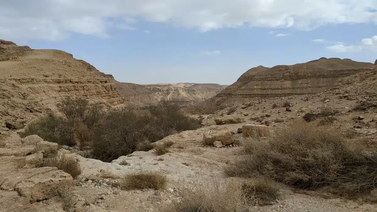 An actor navigating a demanding outdoor survival task in a remote canyon landscape.