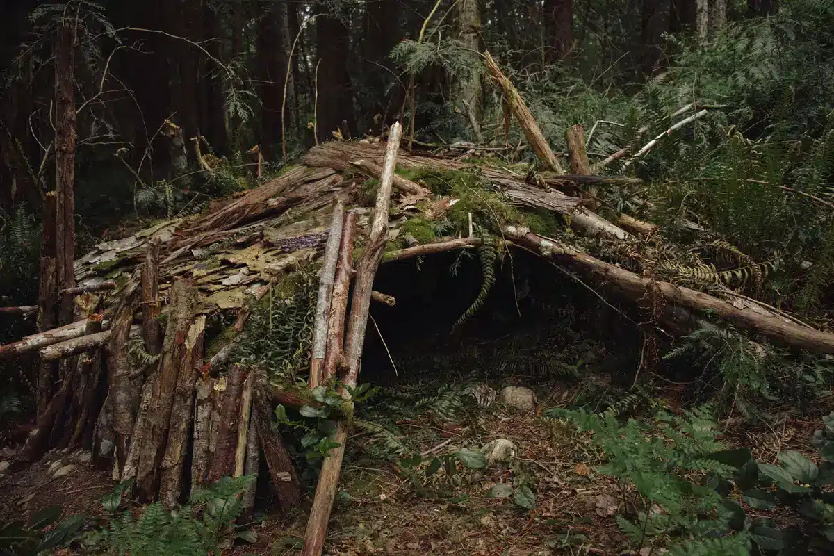 Person building emergency shelter in outdoor wilderness setting