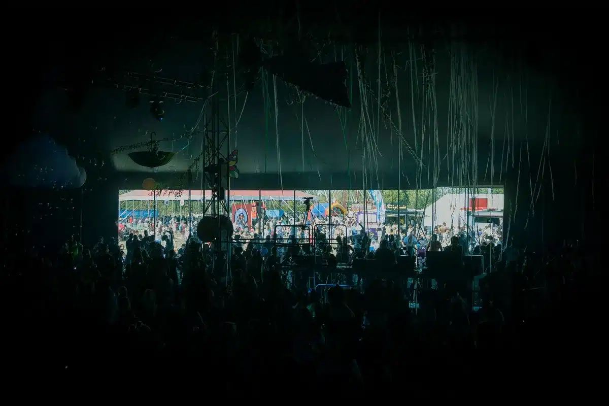 Festival crowd reacting to lineup changes and announcements
