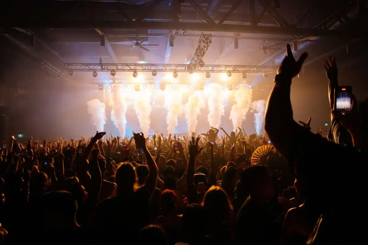 Concert crowd at a live music venue during a performance