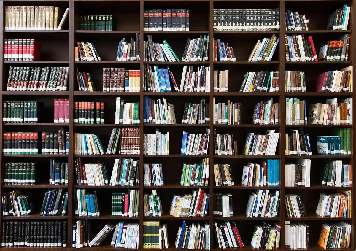 Closeup of books on a shelf with a reading lamp highlighting their spines