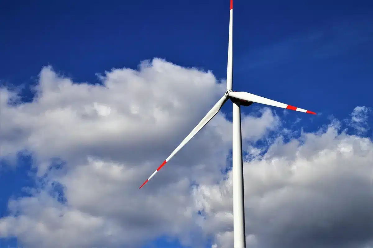 Coastal wind turbines symbolising renewable energy export