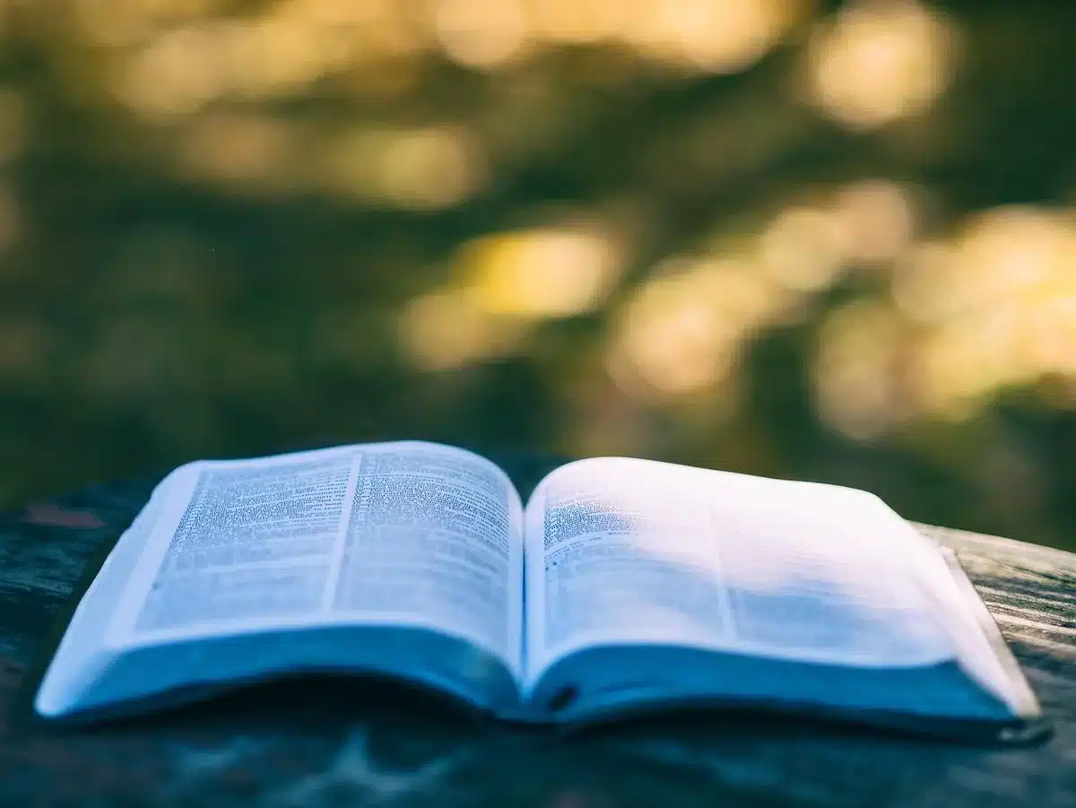 Close-up of an open book showing the last line on the page